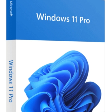 OS UK Microsoft Windows 11 Pro 64bit DVD OEM