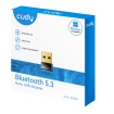 USB-A BT5.3 100m - Cudy BU530