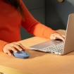 Logitech M171 Optical USB-A Blauw-Grijs Retail Wireless